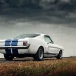 shutterstock_418121572