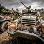 Friends-Fest-2017-278(JZ5_2138)