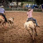 Friends-Fest-2017-289(JZ5_2156)