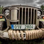 Friends-Fest-2017-295(JZ5_2167)