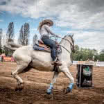 Friends-Fest-2017-365(JZ5_2500)