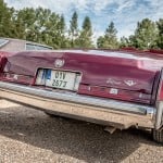 FriendsFest-2019-196(JZ5_5123)