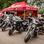 Friends-Fest-2020-016(JZ5_6670)