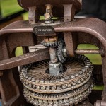 Friends-Fest-2020-046(JZ5_6705)