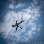 FriendsFest-2022-278(JZ5_1359)