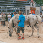 friends_fest_2025_232