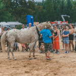 friends_fest_2025_256