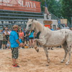 friends_fest_2025_258