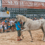 friends_fest_2025_259