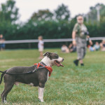 friends_fest_2025_315