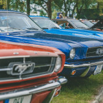 friends_fest_2025_38