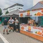 friends_fest_2025_43