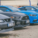 friends_fest_2025_515