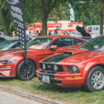 friends_fest_2025_520