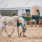 friends_fest_2025_525