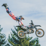 friends_fest_2025_550